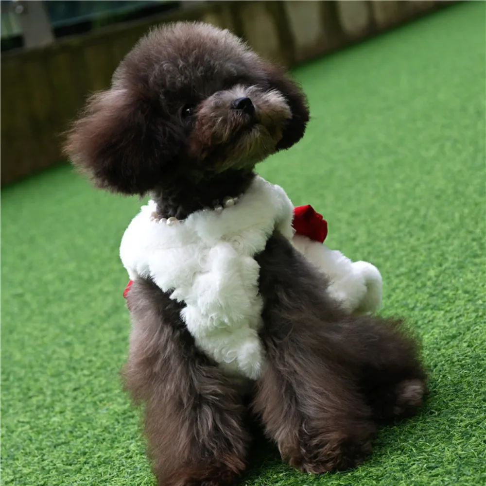Winter Clothing For Dogs - Huisdier Konijnenbont Jurk Kleding Leuke Strik