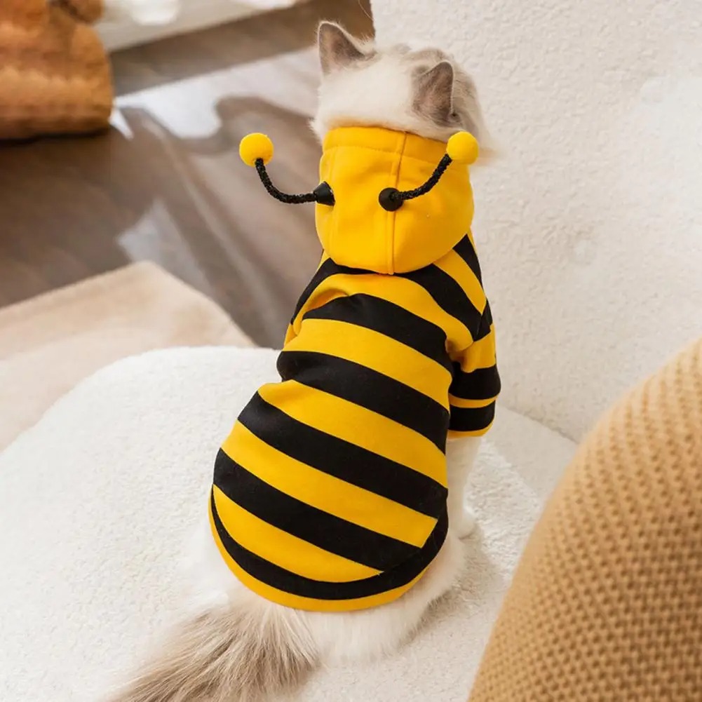 Huisdier Katten Kleding Kitten - Winter Clothing For Dogs recensie en prijs