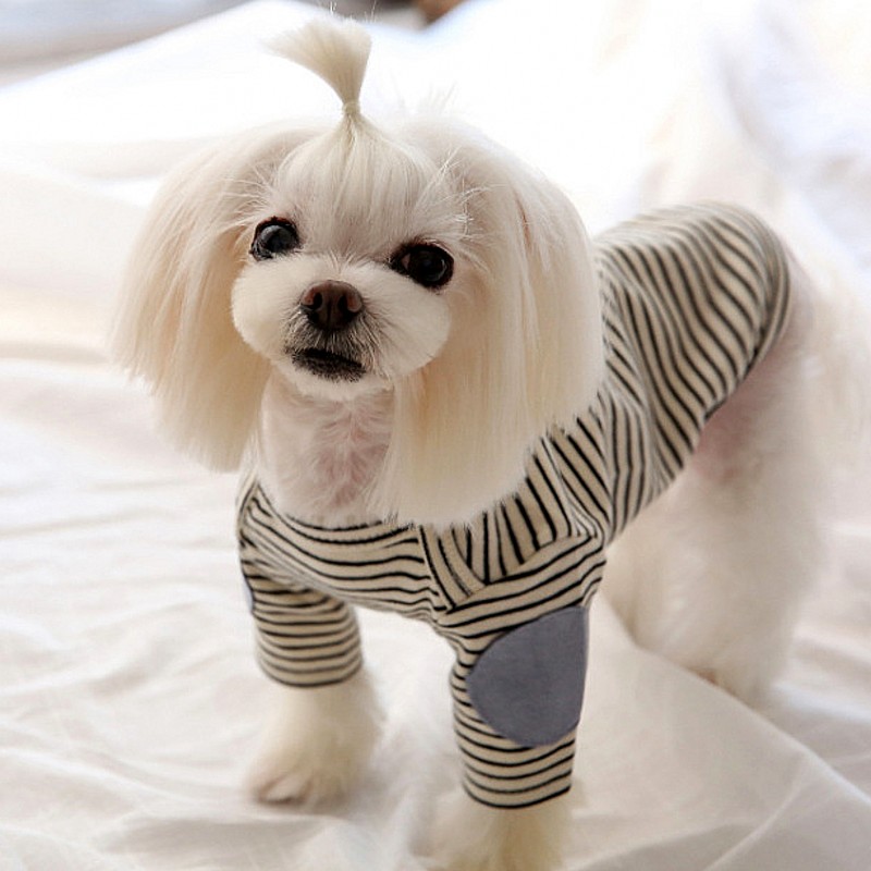 Dunne Hond Hoodies Fleece Hond - Winter Clothing For Dogs recensie en prijs