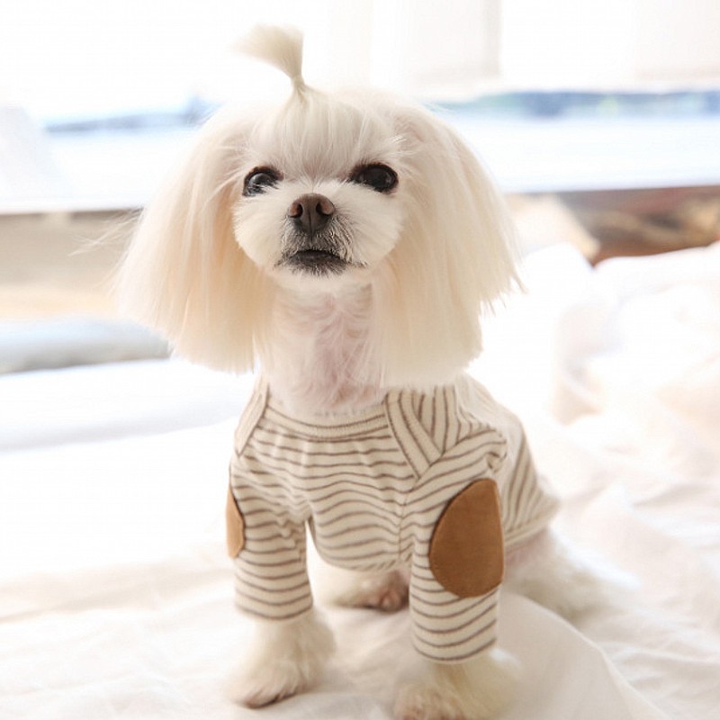 Dunne Hond Hoodies Fleece Hond - Winter Clothing For Dogs recensie en prijs