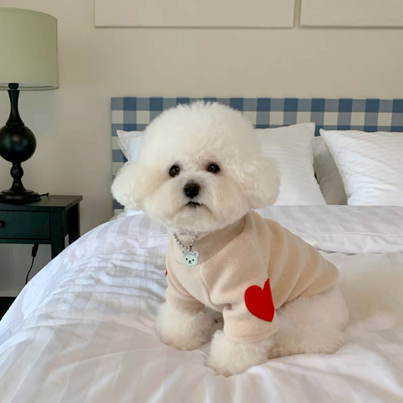 Hond Love Bottom Shirt Warm Hu - Winter Clothing For Dogs recensie en prijs
