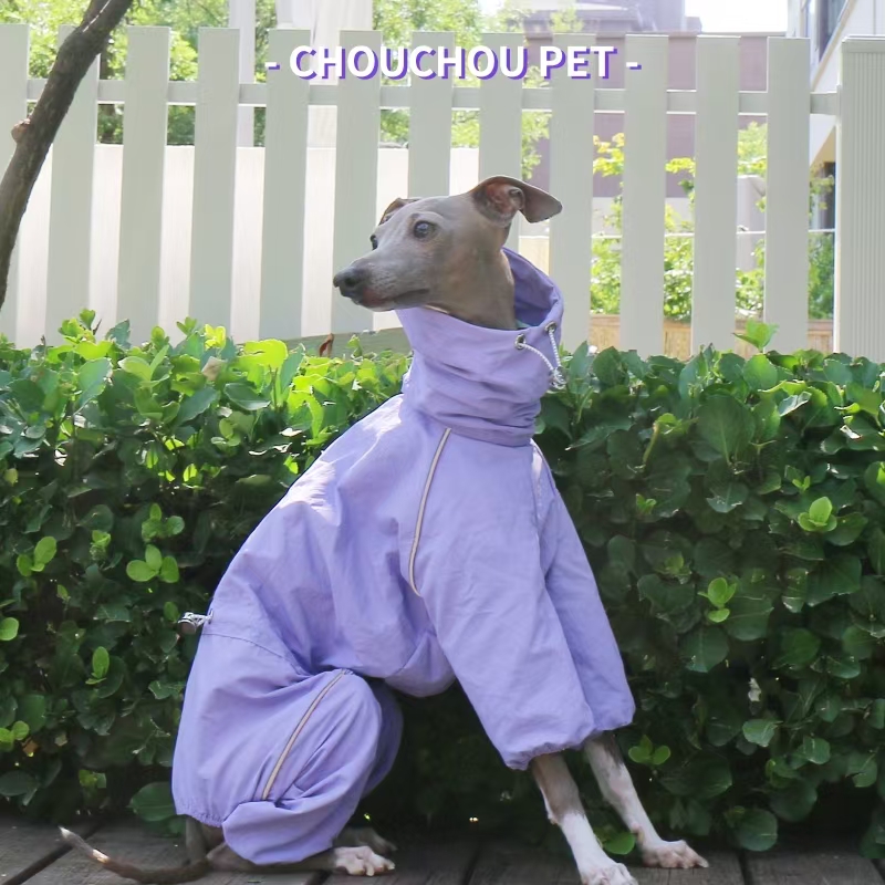 Italiaanse windhond regenjas h - Winter Clothing For Dogs recensie en prijs