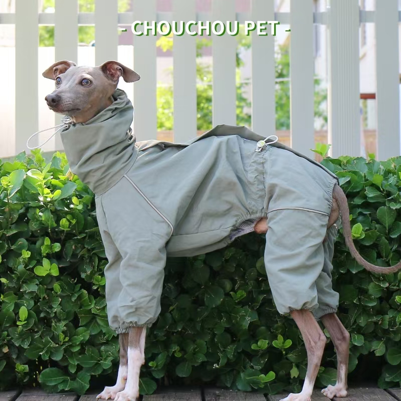 Italiaanse windhond regenjas h - Winter Clothing For Dogs recensie en prijs