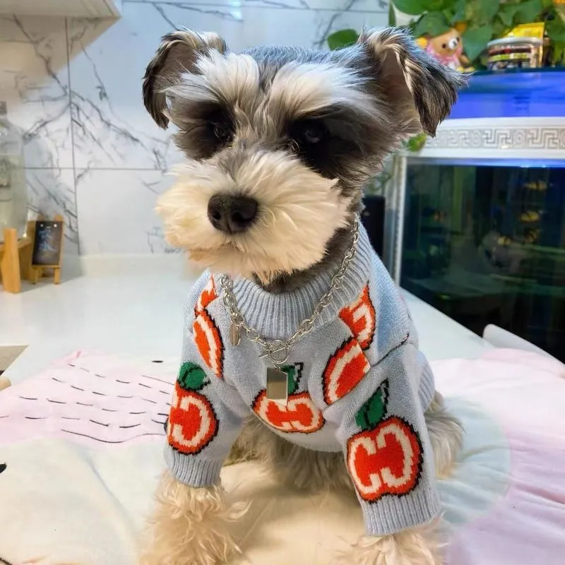 Brief Trui Hondenkleding Katoe - Winter Clothing For Dogs recensie en prijs