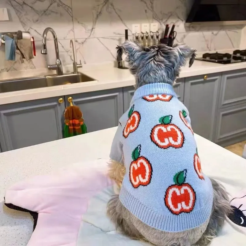 Brief Trui Hondenkleding Katoe - Winter Clothing For Dogs recensie en prijs