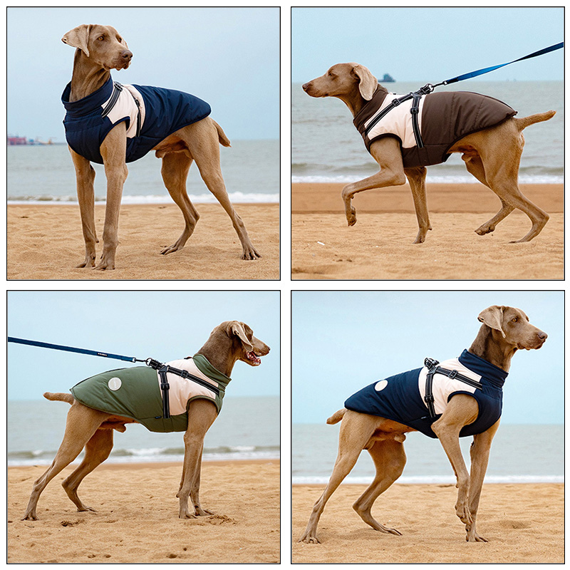 Warm hondenvest met ingebouwd  - Winter Clothing For Dogs recensie en prijs