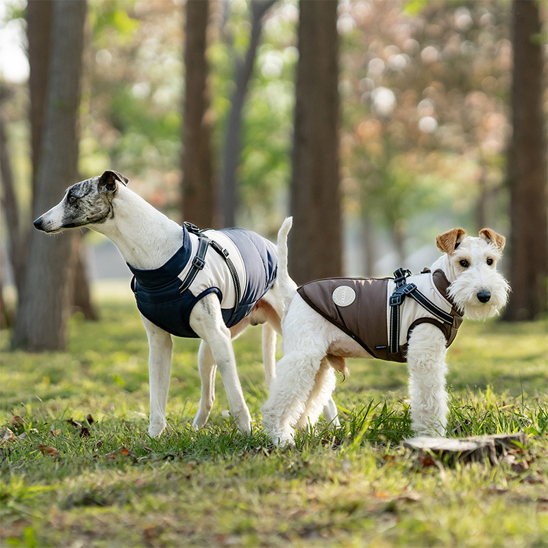 Warm hondenvest met ingebouwd  - Winter Clothing For Dogs recensie en prijs