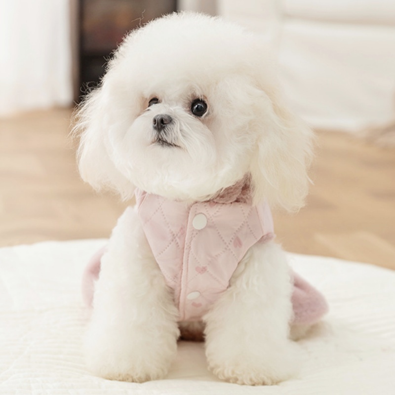 Winter Warm Hond Jas Jurk Leuk - Winter Clothing For Dogs recensie en prijs