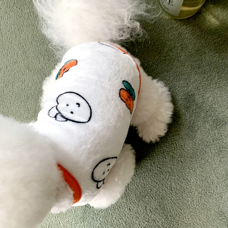 Mooie Kleine Hond Konijn Patro - Winter Clothing For Dogs recensie en prijs