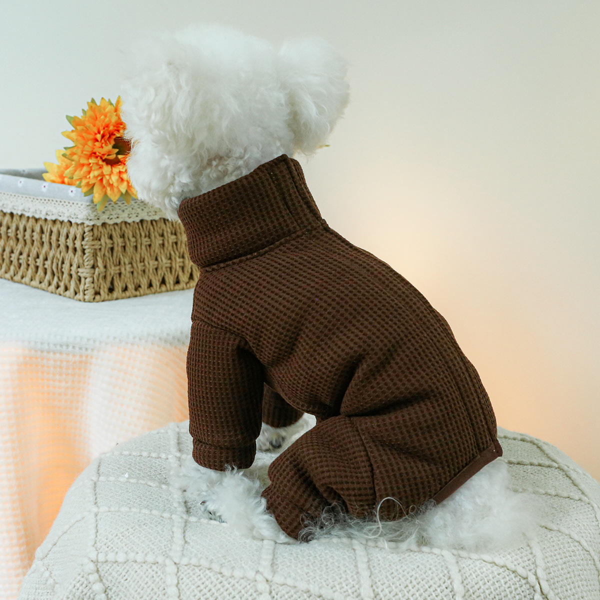 Winterkostuums voor honden Her - Winter Clothing For Dogs recensie en prijs