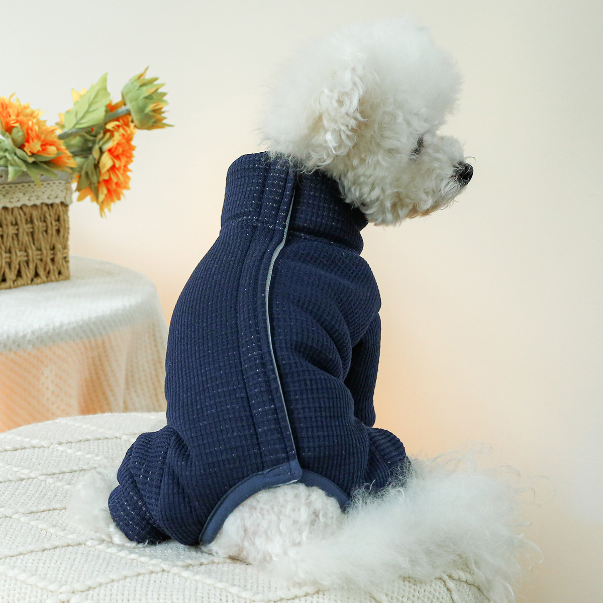 Winterkostuums voor honden Her - Winter Clothing For Dogs recensie en prijs
