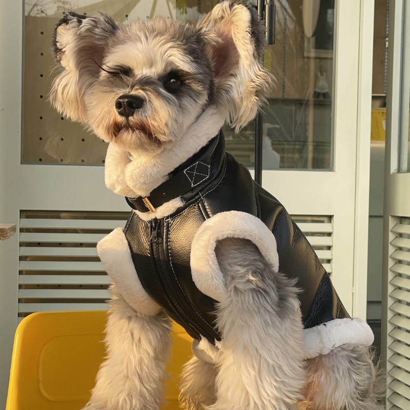 Huisdier Herfst Winter Fluwele - Winter Clothing For Dogs recensie en prijs