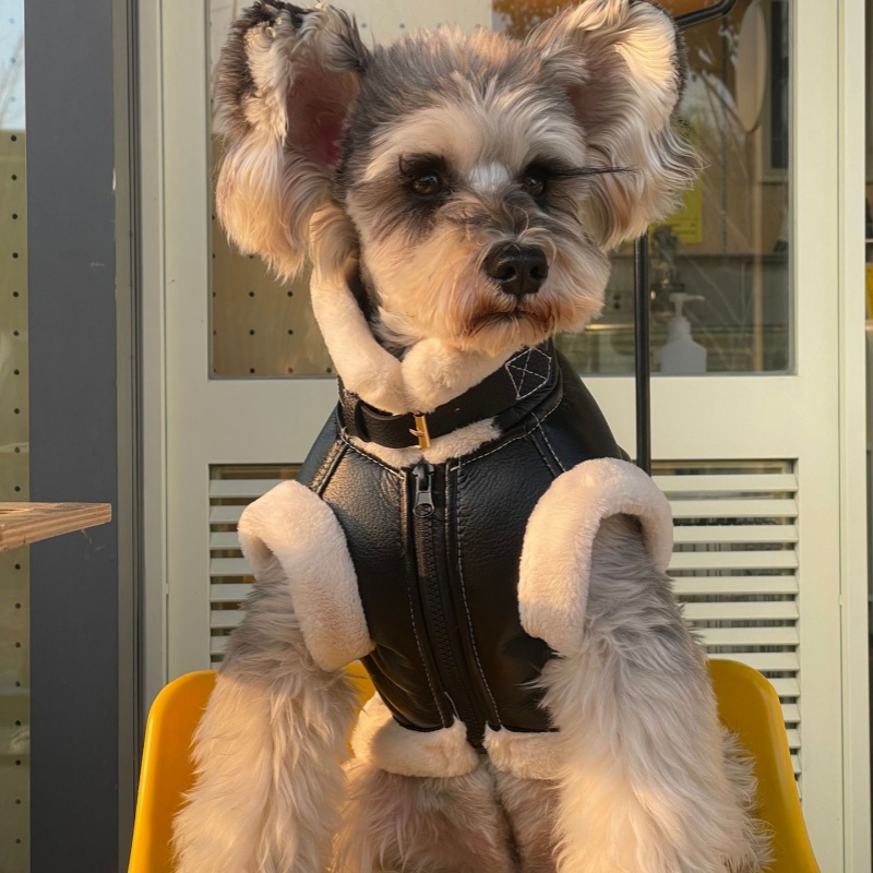 Huisdier Herfst Winter Fluwele - Winter Clothing For Dogs recensie en prijs