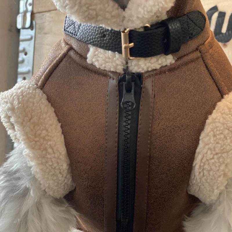 Huisdier Herfst Winter Fluwele - Winter Clothing For Dogs recensie en prijs
