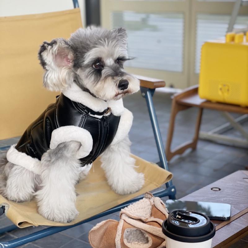 Huisdier Herfst Winter Fluwele - Winter Clothing For Dogs recensie en prijs